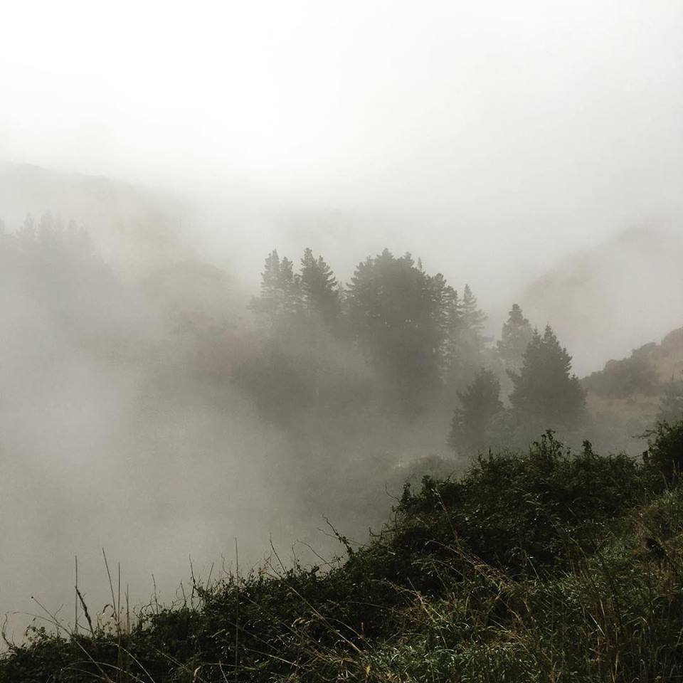 Stepping out of your comfort&nbsp;zone